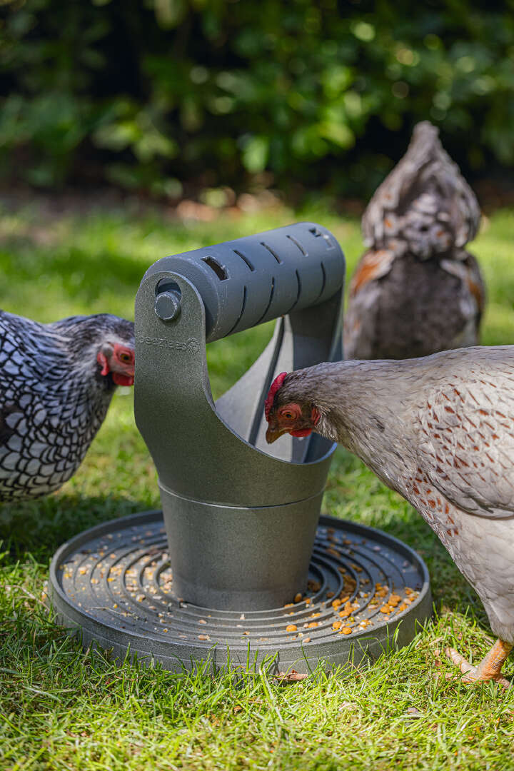 beeztees Hühner Spiel- und Snackturm